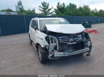  Salvage Honda Pilot