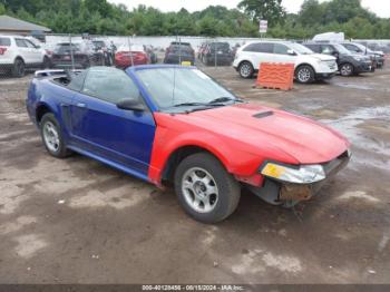  Salvage Ford Mustang