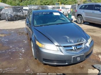  Salvage Acura TL