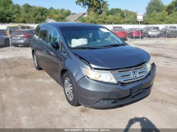  Salvage Honda Odyssey