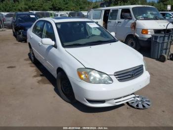  Salvage Toyota Corolla