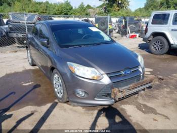  Salvage Ford Focus