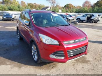  Salvage Ford Escape