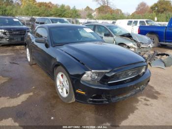  Salvage Ford Mustang