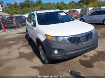  Salvage Kia Sorento