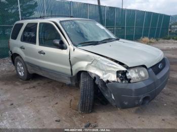  Salvage Ford Escape