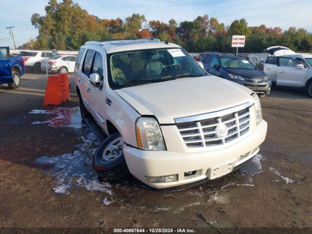  Salvage Cadillac Escalade