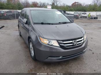  Salvage Honda Odyssey