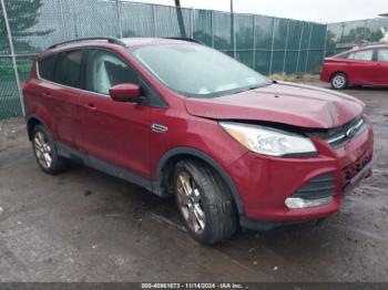  Salvage Ford Escape