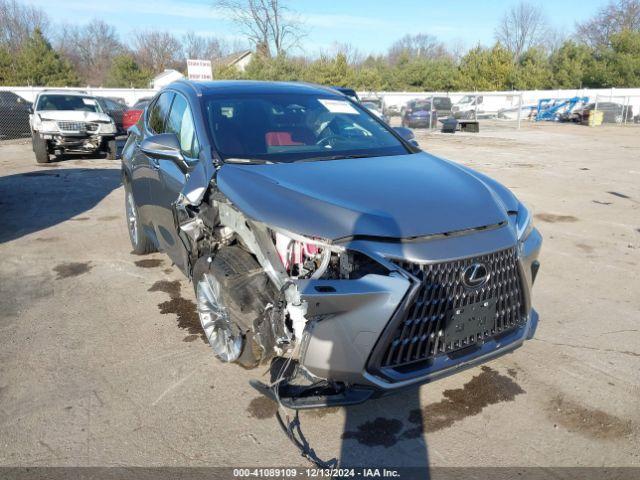  Salvage Lexus NX