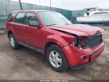  Salvage Ford Escape