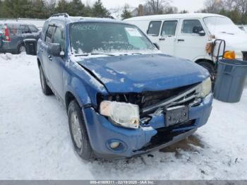  Salvage Ford Escape