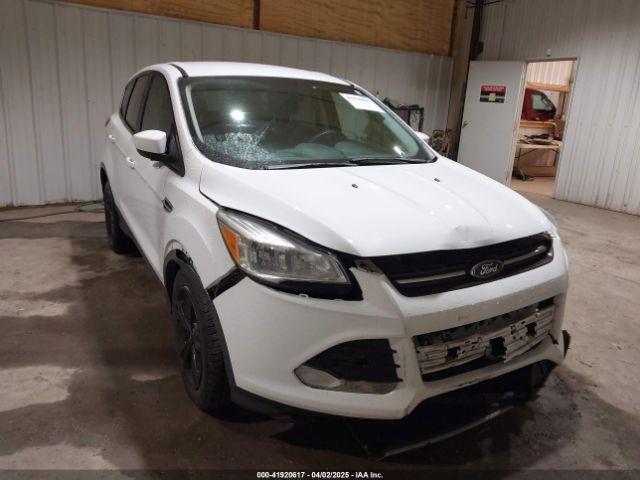  Salvage Ford Escape