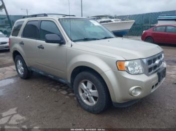  Salvage Ford Escape