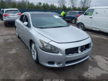  Salvage Nissan Maxima