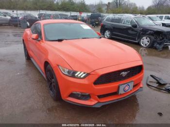  Salvage Ford Mustang