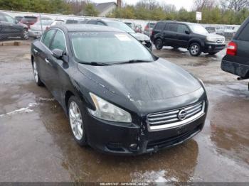  Salvage Nissan Maxima
