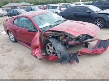  Salvage Ford Mustang