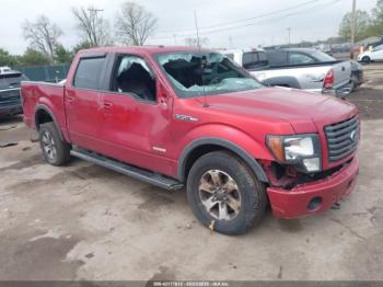  Salvage Ford F-150