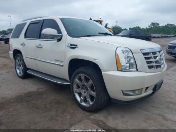  Salvage Cadillac Escalade