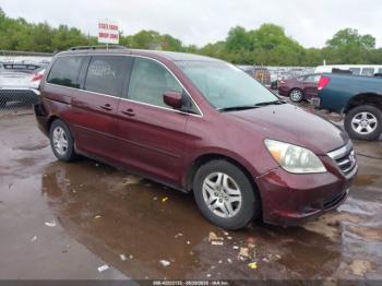  Salvage Honda Odyssey