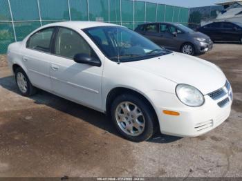  Salvage Dodge Neon