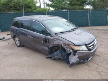  Salvage Honda Odyssey