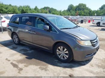  Salvage Honda Odyssey
