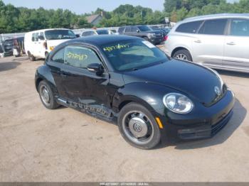  Salvage Volkswagen Beetle