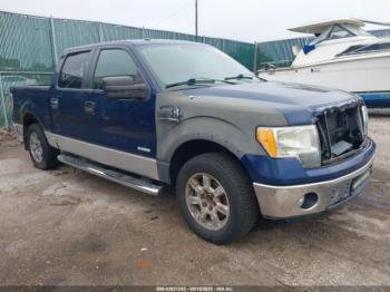  Salvage Ford F-150