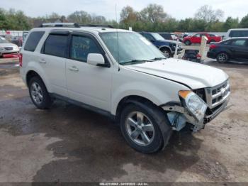  Salvage Ford Escape