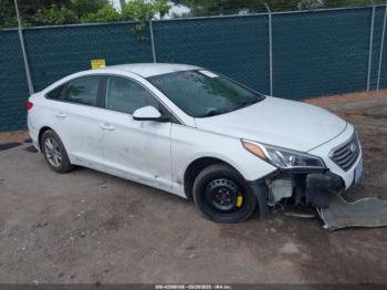  Salvage Hyundai SONATA