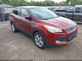  Salvage Ford Escape