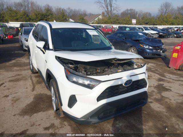  Salvage Toyota RAV4