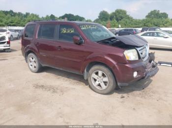  Salvage Honda Pilot