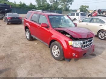  Salvage Ford Escape
