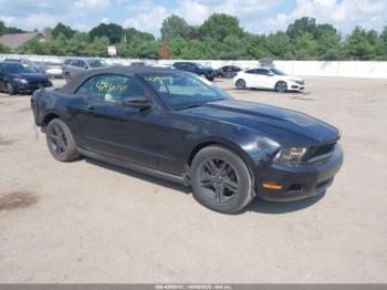  Salvage Ford Mustang