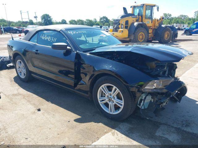  Salvage Ford Mustang
