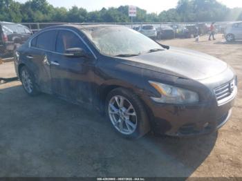  Salvage Nissan Maxima
