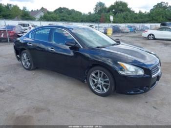  Salvage Nissan Maxima