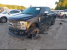 Ford F-250 Platinum Image 2