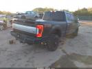 Ford F-250 Platinum Image 5