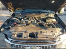 Ford F-250 Platinum Image 11