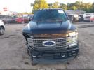 Ford F-250 Platinum Image 9