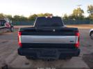 Ford F-250 Platinum Image 15