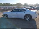 Dodge Charger Image 4