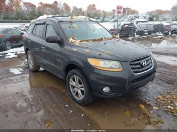  Salvage Hyundai SANTA FE