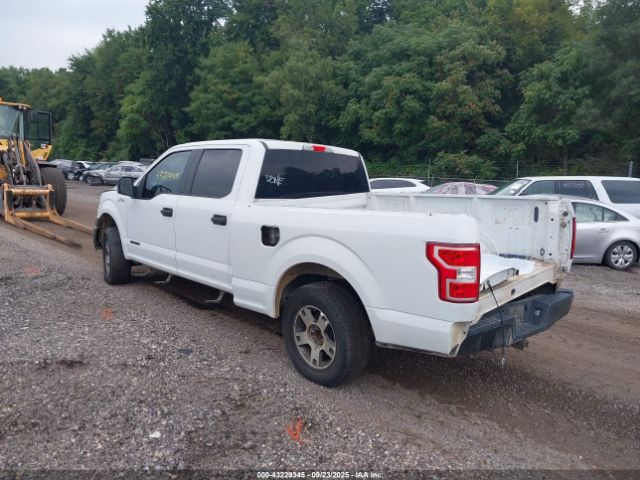 Ford F-150 Xl Image 6