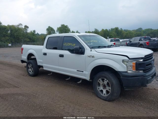 Ford F-150 Xl Image 3