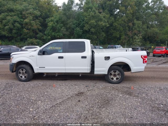 Ford F-150 Xl Image 14